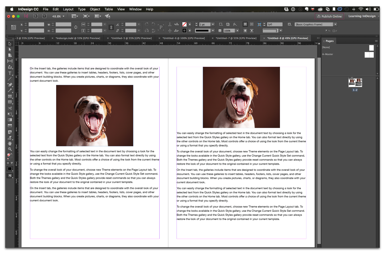 InDesign CCss_035.png